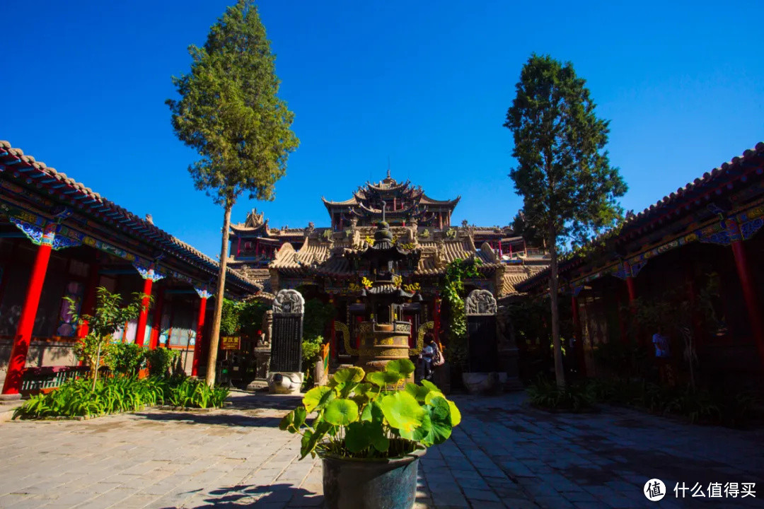 看沙漠、游黄河,中卫适合没时间却想玩西北的你