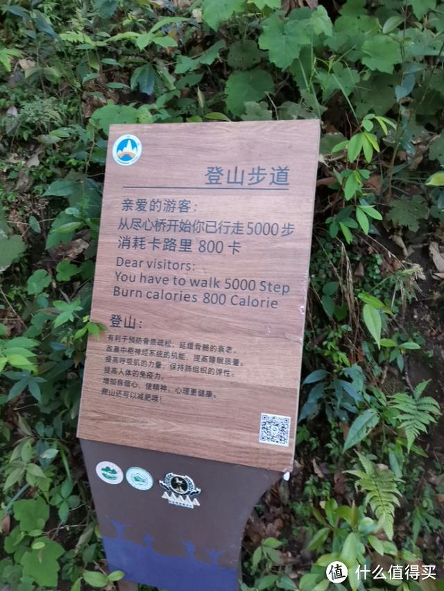 武功山游记及路线攻略