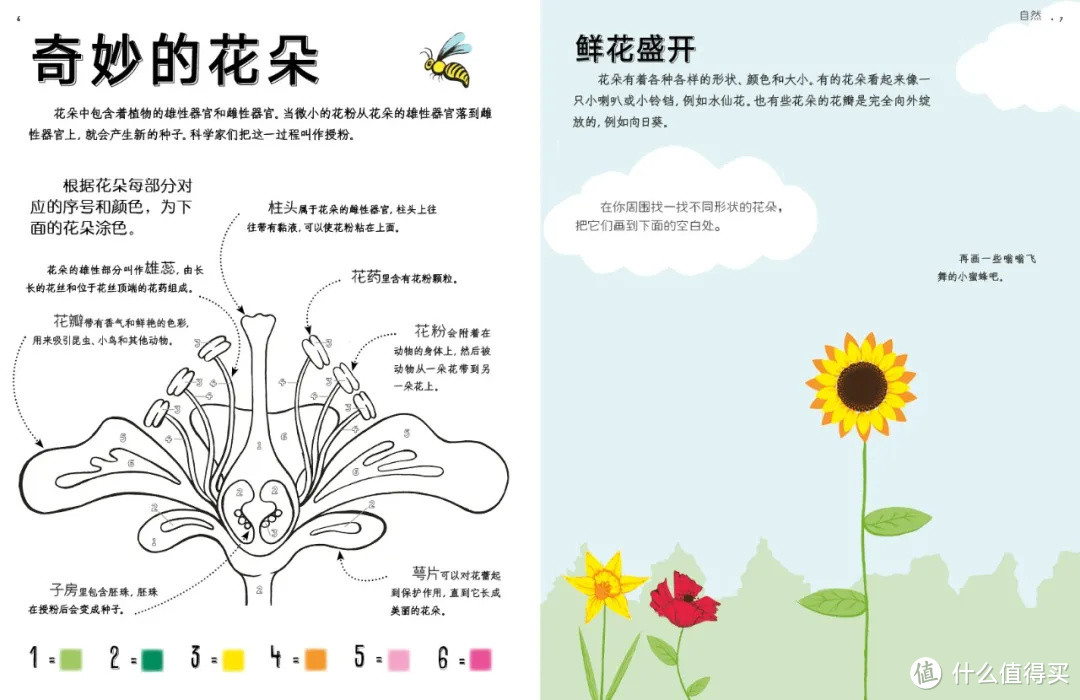 主题绘本书单：数学启蒙绘本篇——（0-6岁，7-12岁）