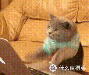 燥热夏天,给电脑做个大扫除吧——保姆级电脑垃圾清理教程