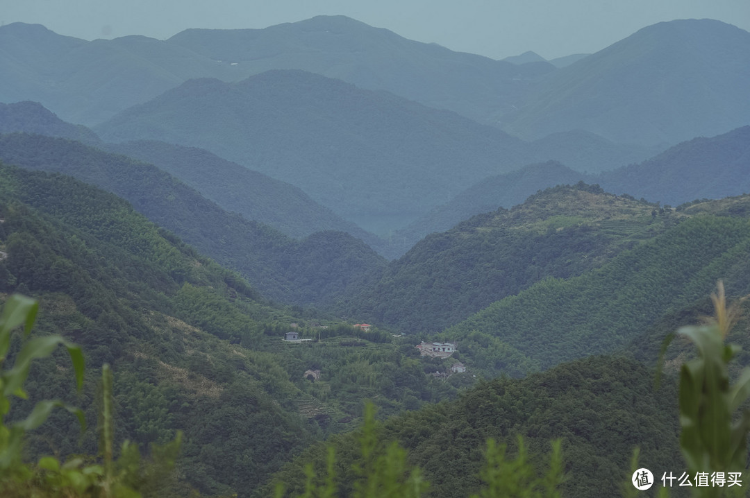 自驾四明山，游走浙江最美盘山路，芦苇、竹林、溪流、古村落