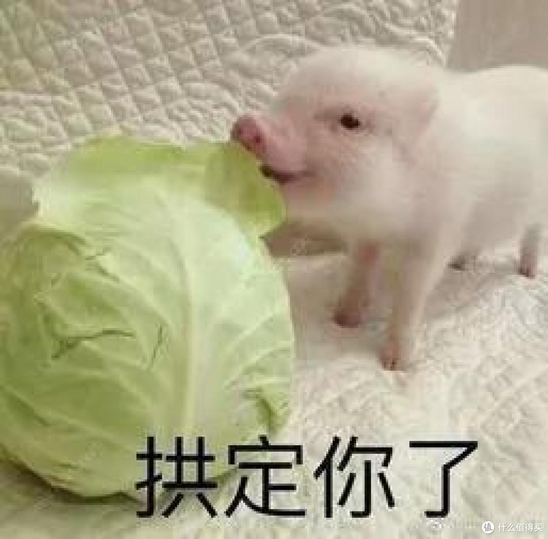 来了！手把手教你看清健康告知背后的潜规则