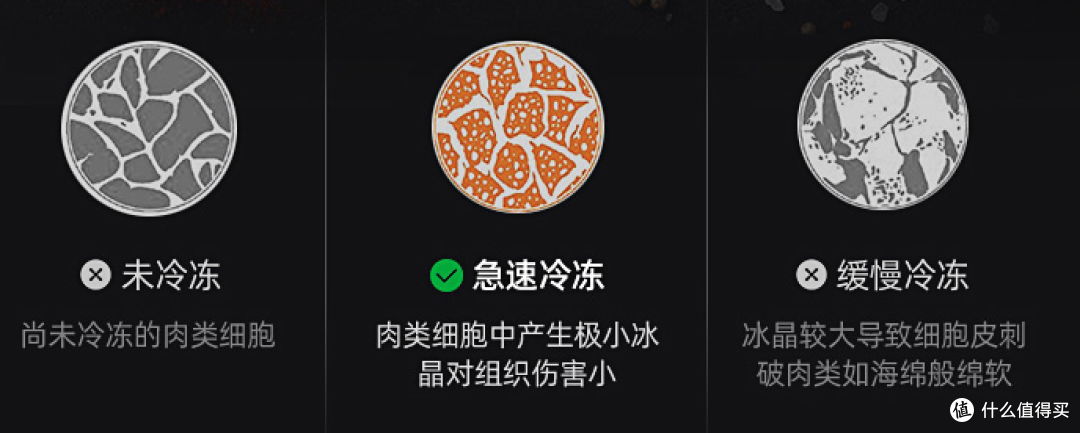 夏季养鲜指南,从选购一台好冰箱开始