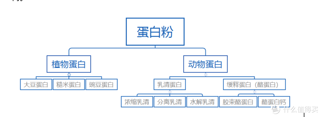 食客：哪种蛋白粉能让我更大？一篇理清蛋白粉迷雾（含推荐测评）