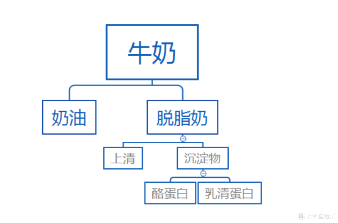 食客：哪种蛋白粉能让我更大？一篇理清蛋白粉迷雾（含推荐测评）