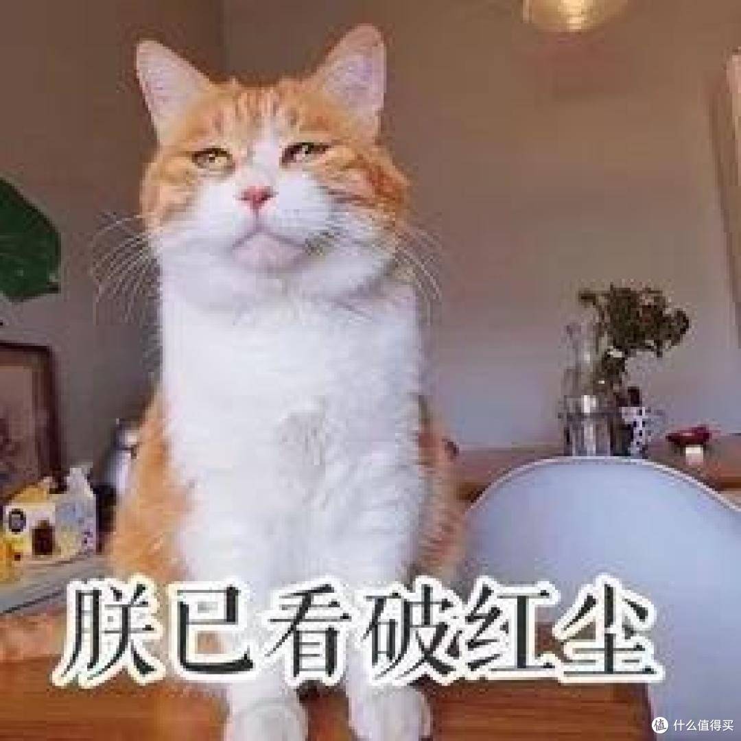 既然不爱了,那就谈“钱”吧,关于离婚保险分割