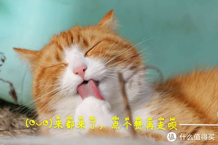 猫咪不喝净水，喜欢去马桶里面喝水?这可怎么办呢？原来需要把死水变成活水