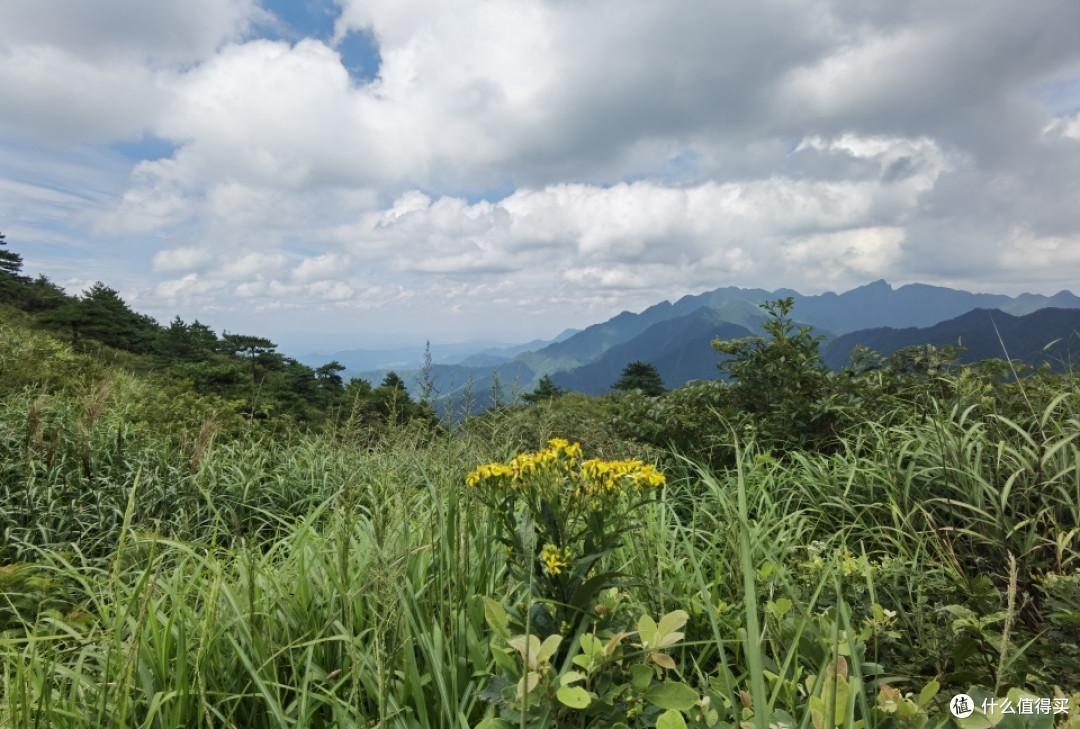 八月的武功山