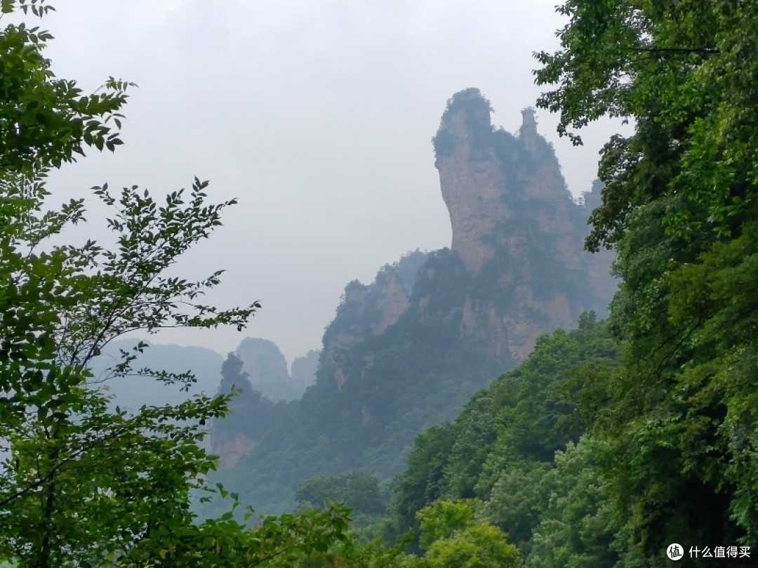 向王观书
