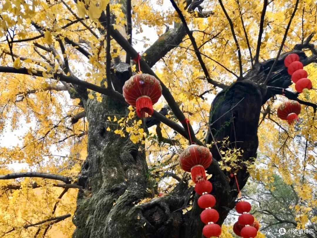 杭州上海周边有座低调又好吃的宝藏小镇,自驾一个半小时就能到