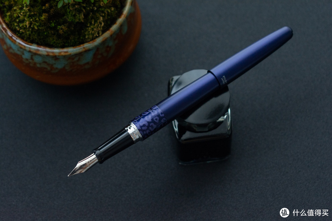 日系入门平价钢笔初体验，PILOT百乐紫色豹纹 MR2 钢笔套装简评