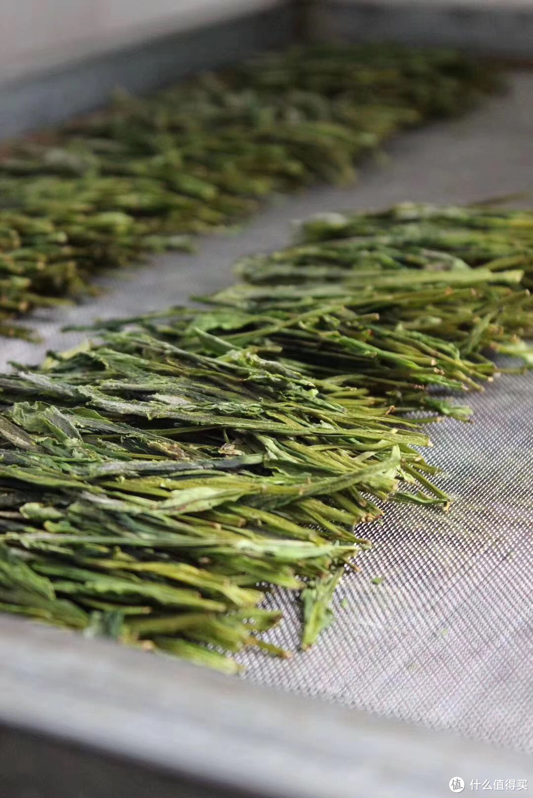 很特别的绿茶——太平猴魁