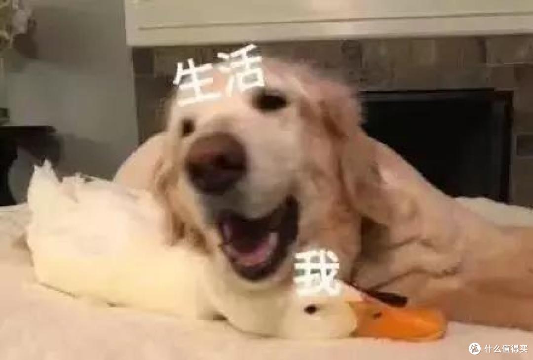 人在体制内,怎么买保险?