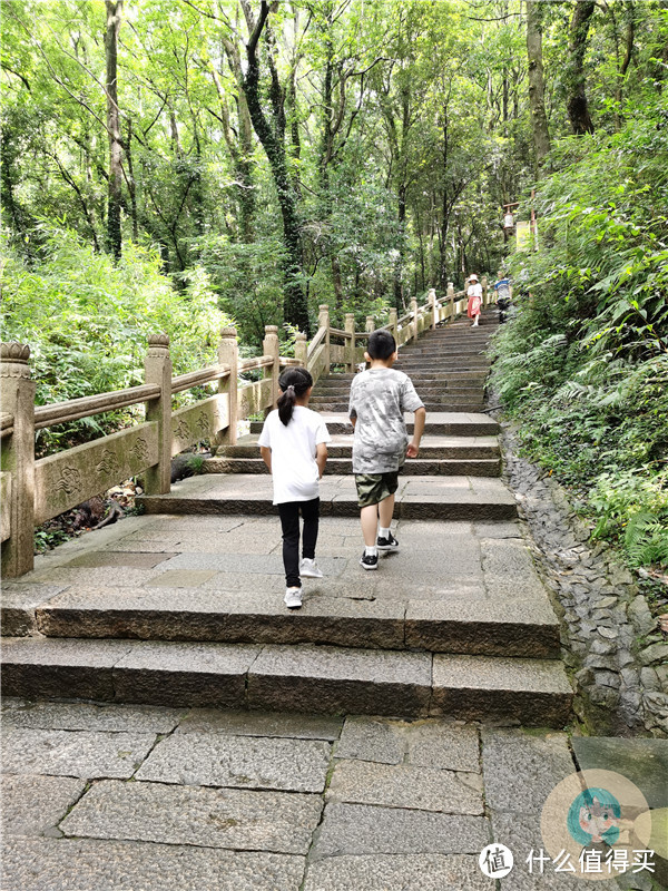 静心之旅：仙境一般的普陀山