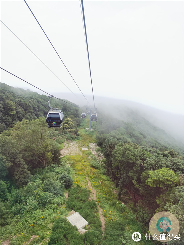 静心之旅：仙境一般的普陀山