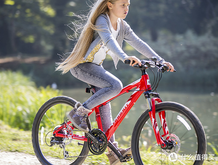 儿童自行车品牌哪个牌子好全球10大中小学生自行车品牌排行榜