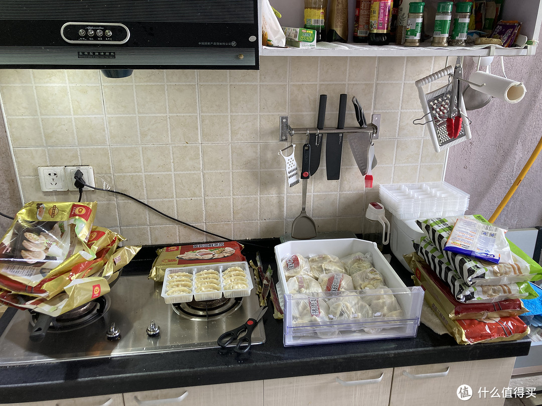 饺子囤太多了，冰箱放不下怎么办？