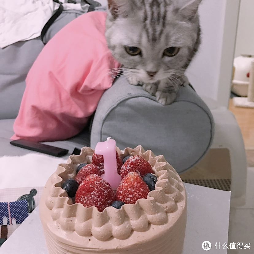 一岁生日（ps：蛋糕是给人吃的，突突的太丑了没拍）