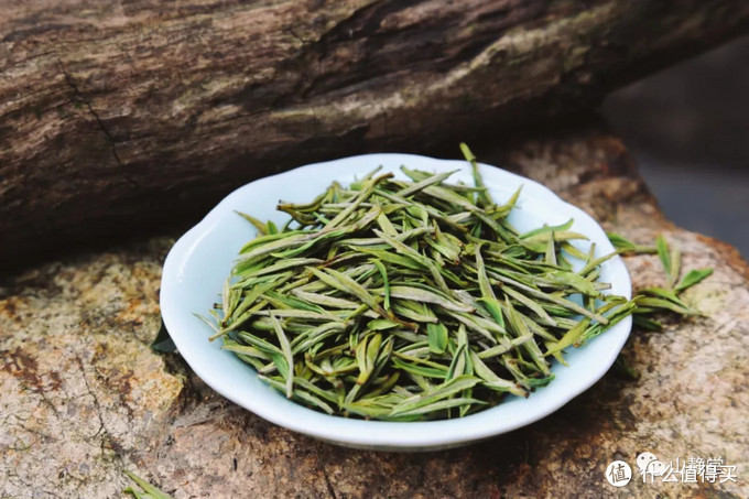 安吉白茶，来自竹林茶海的甘鲜之美