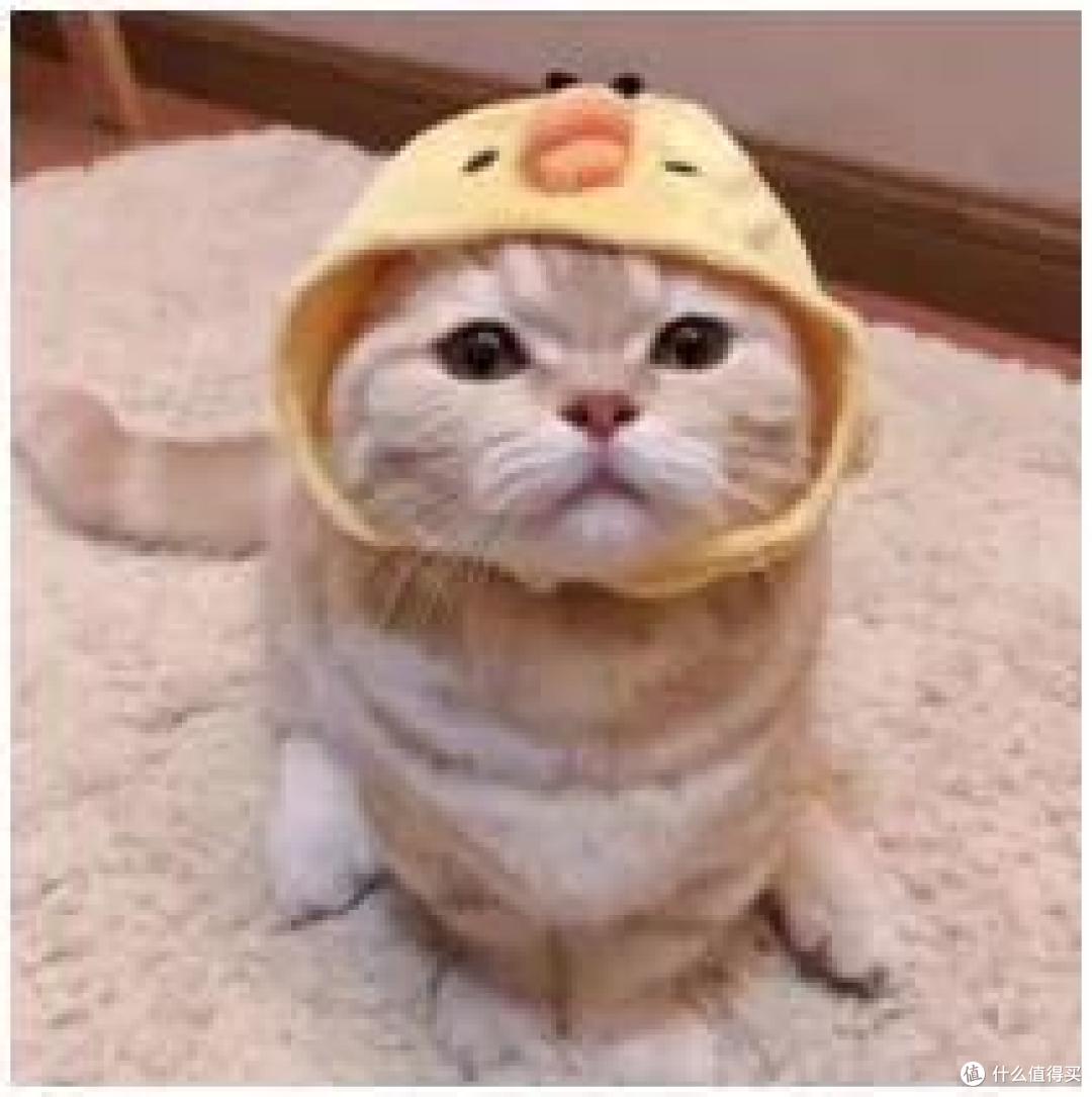 保险中的豁免是什么意思?轻症豁免是个坑吗?