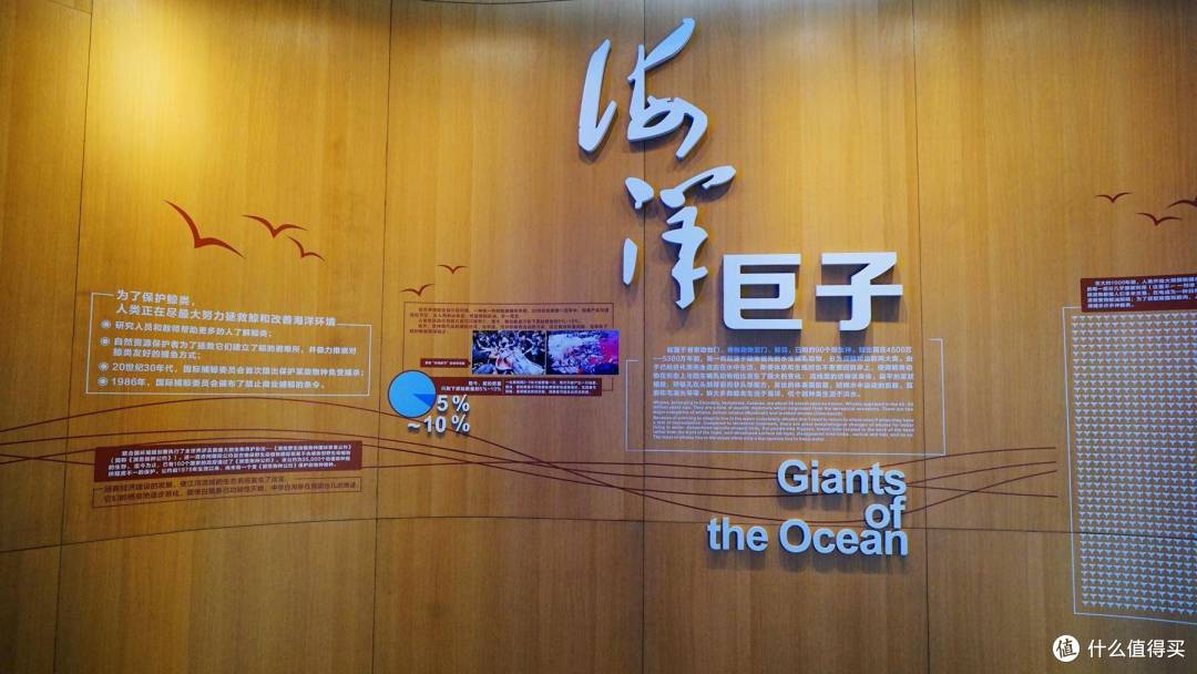 免费属性——青岛水族馆游记