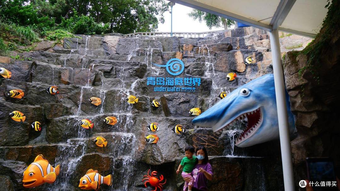 免费属性——青岛水族馆游记