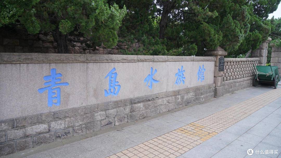 免费属性——青岛水族馆游记