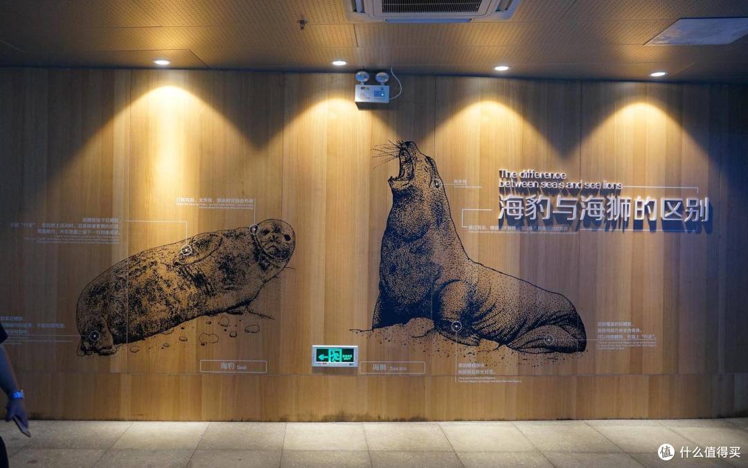 免费属性——青岛水族馆游记