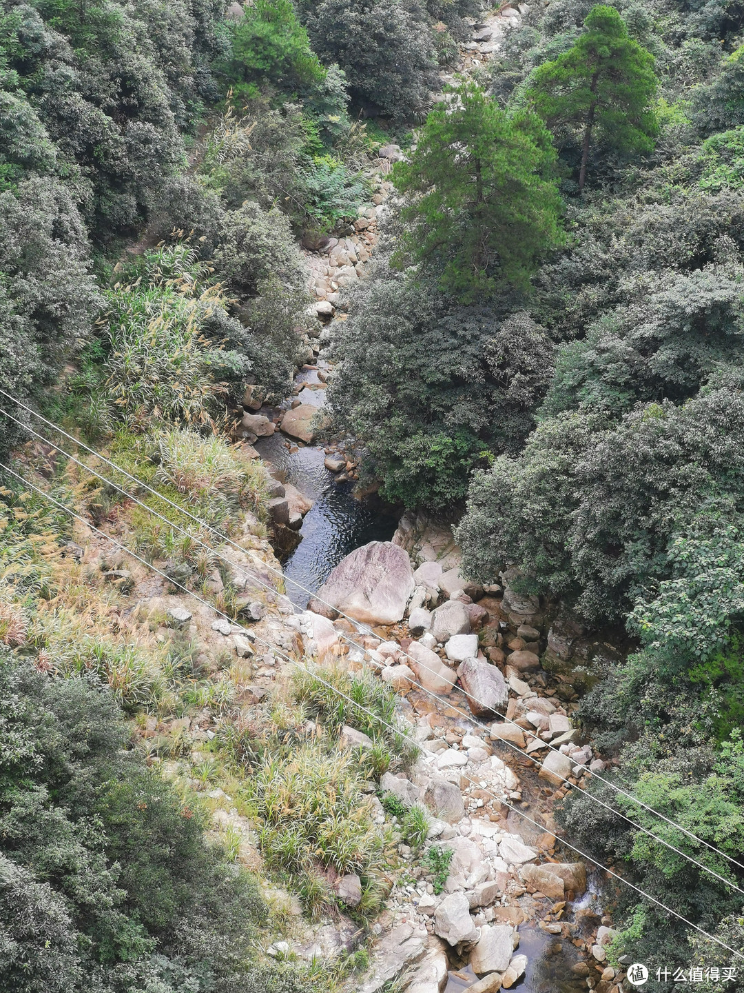 说走就走的旅行--带孩子游玩三清山（魔都出发）