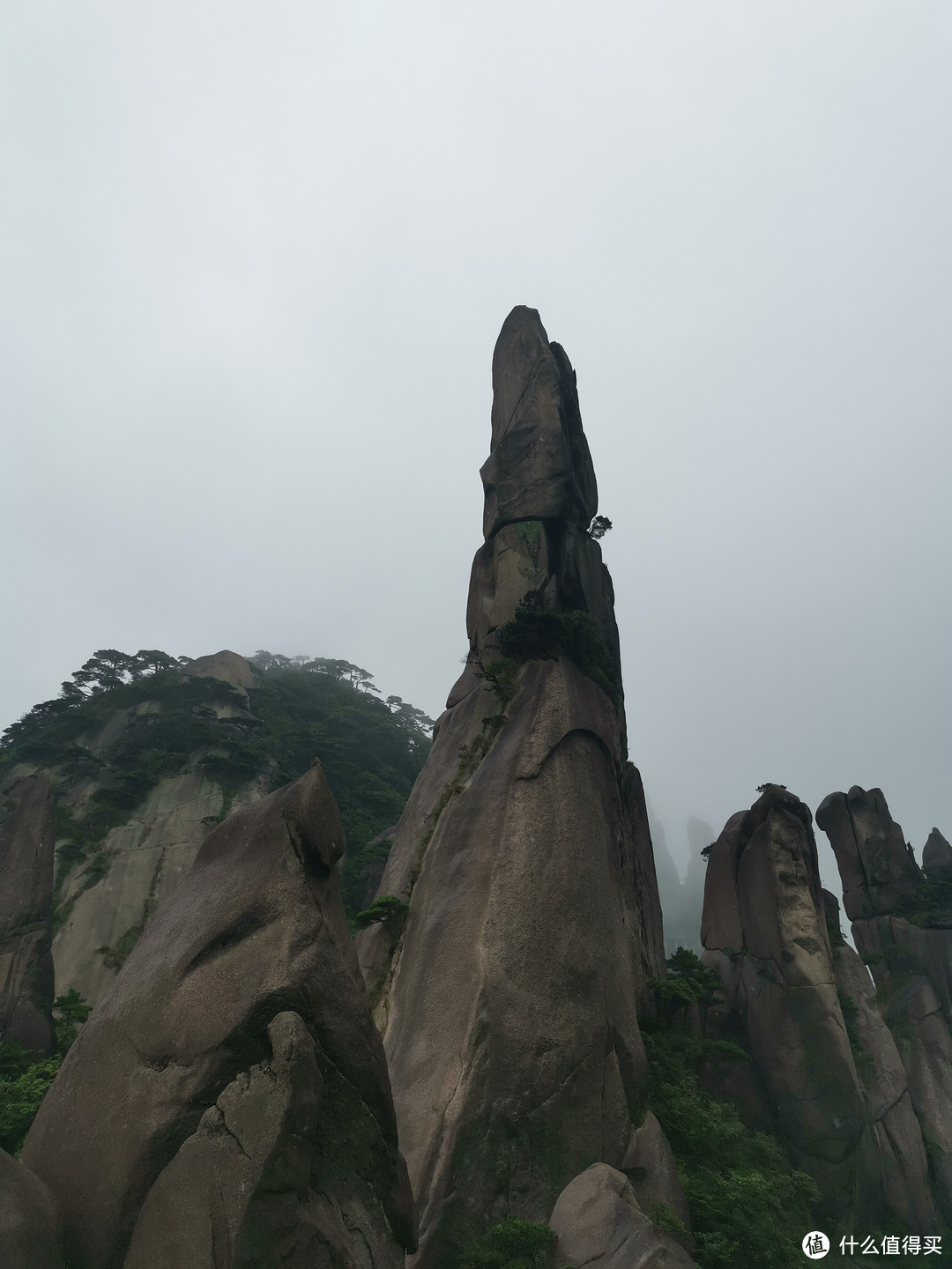 说走就走的旅行--带孩子游玩三清山（魔都出发）