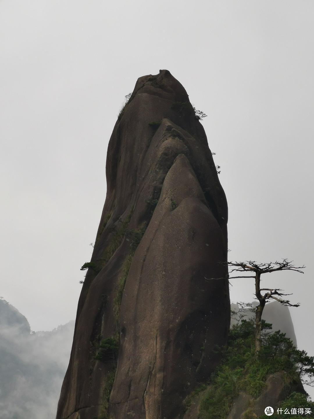 说走就走的旅行--带孩子游玩三清山（魔都出发）