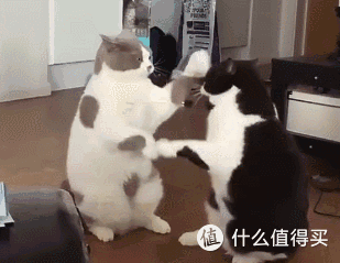 多多想把特斯拉绑在平台上,特斯拉偏偏不让多多把他绑在平台上