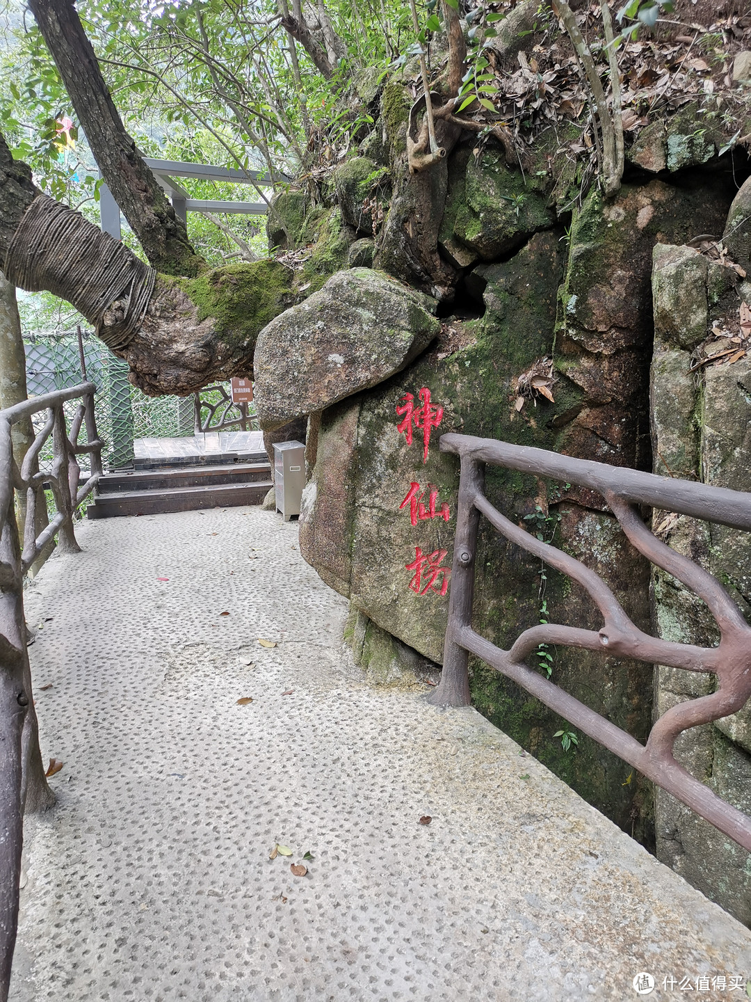 说走就走的旅行--带孩子游玩三清山（魔都出发）