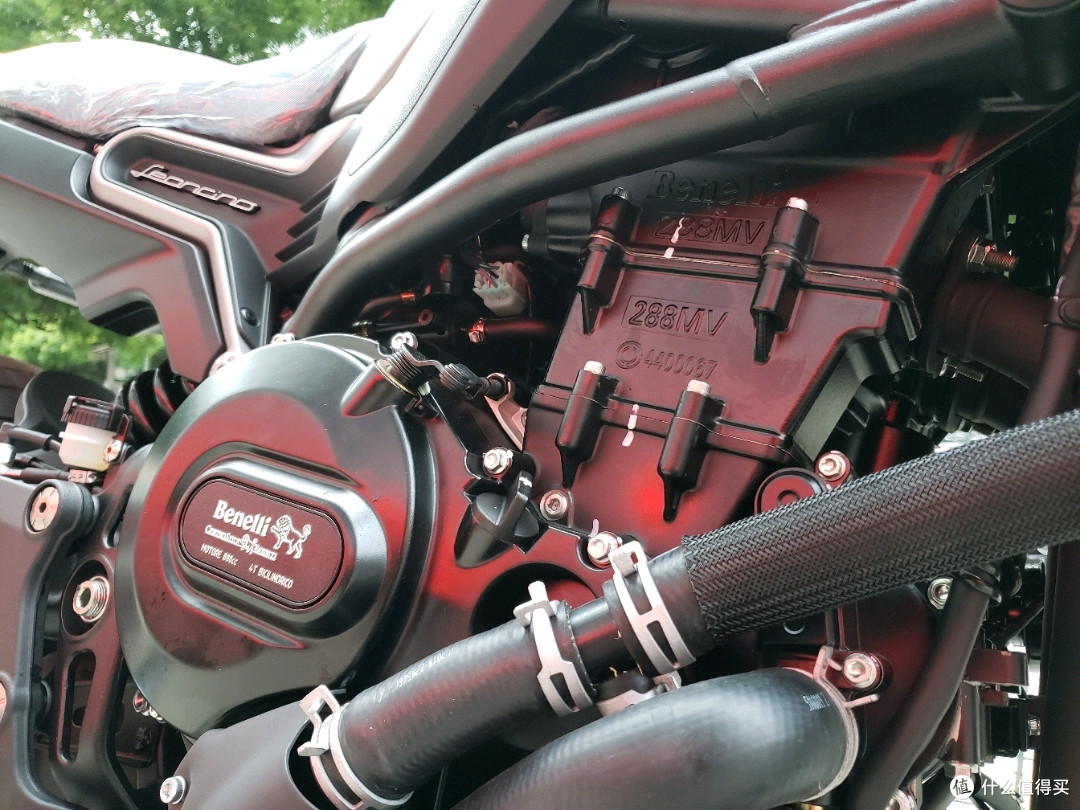 迟来贝纳利幼狮800开箱