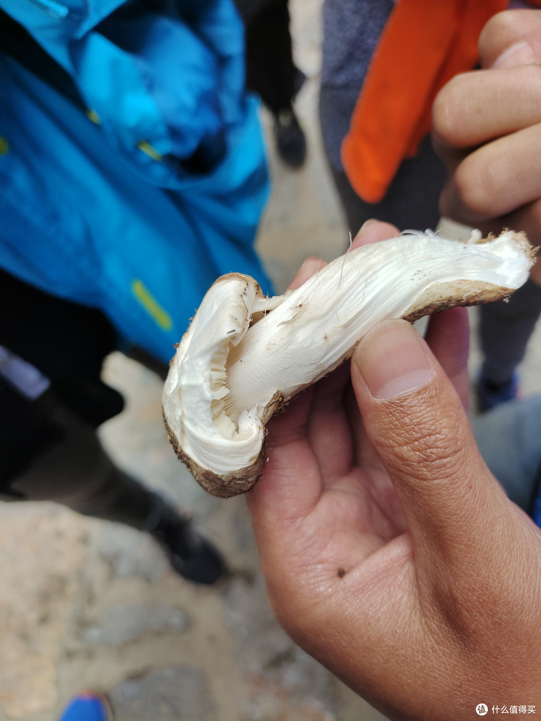 在云南直接干吃，也会有甘甜的滋味。