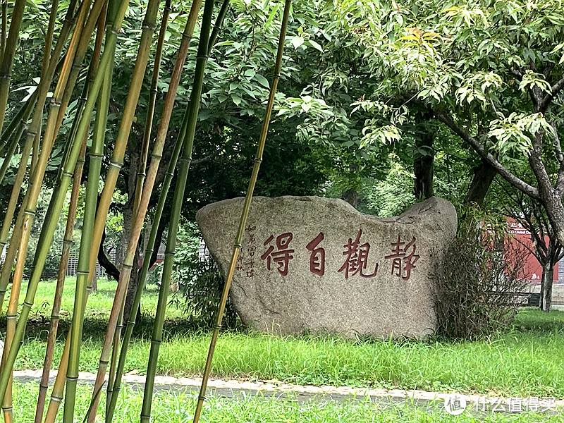 科莱威高速初体验，AND岱庙一游