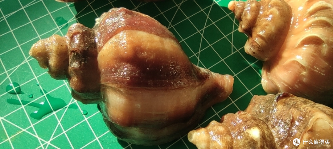 我的拿手菜,逛逛菜市场买海鲜~ 35元/斤的海螺看看怎么样~