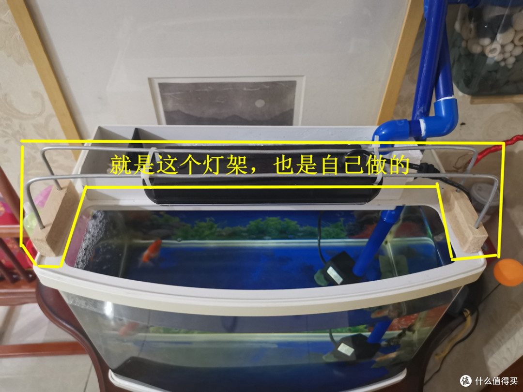 为了养好金鱼之小型成品鱼缸改造记录