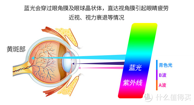 蓝光对人眼球的影响