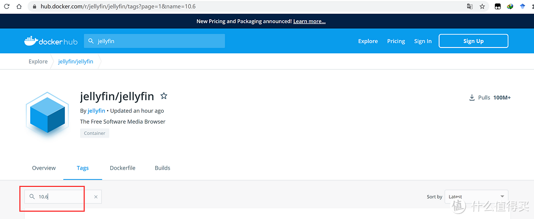 docker hub里面搜jellyfin，在tag里搜索10.6即可