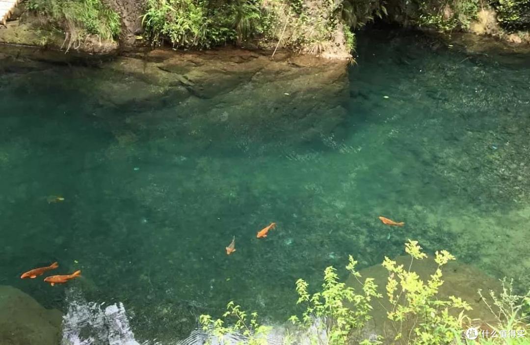 去桐庐，抓住夏天的尾巴~