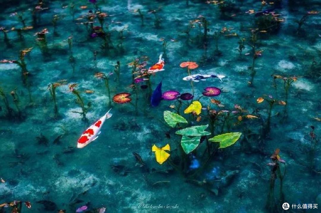 去桐庐，抓住夏天的尾巴~