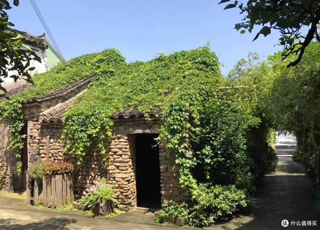 去桐庐，抓住夏天的尾巴~