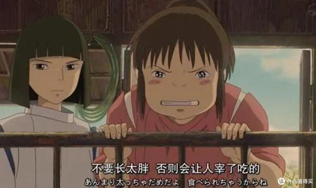 去桐庐，抓住夏天的尾巴~