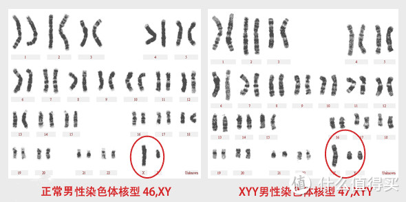 锻炼你真的担心你是“天赋异禀“”的吗？