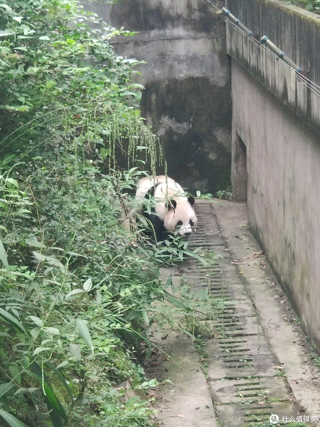 出来活动活动筋骨