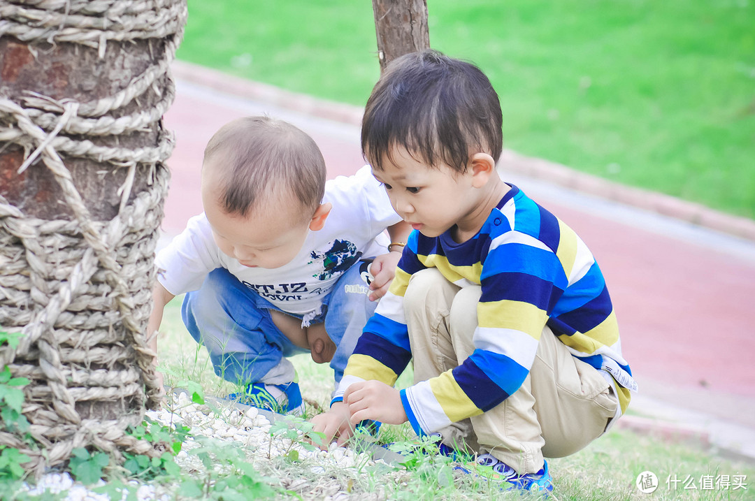 孩子开学了，学校推销几十块的学平险，真的值得买吗？