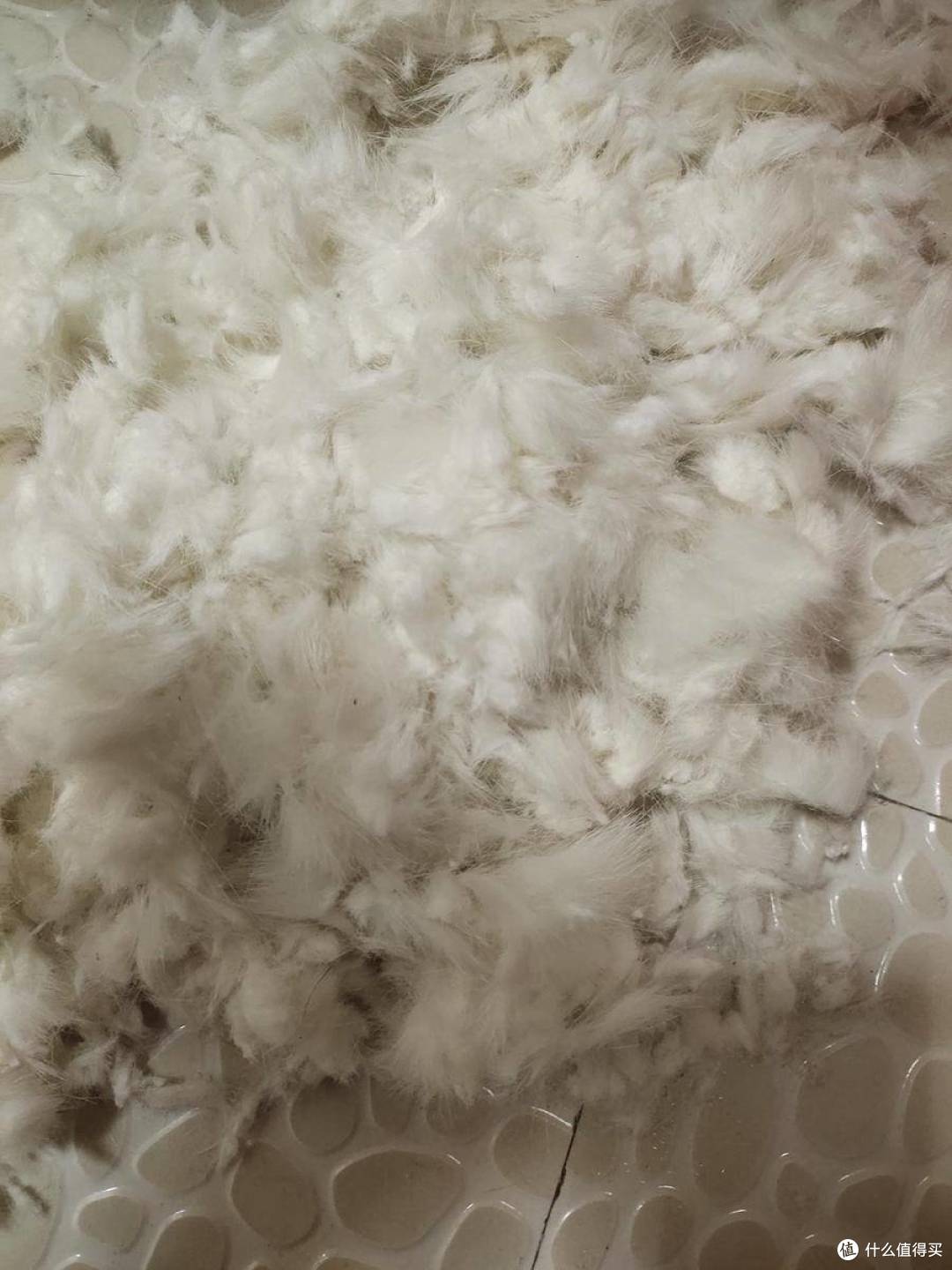 疯狂的小狗 宠物剃毛器 使用感受