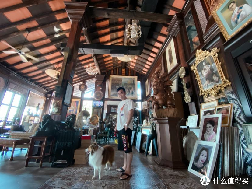 带狗狗坐飞机头等舱游东南亚——泰国篇（宠物友好酒店及带狗游玩好去处）