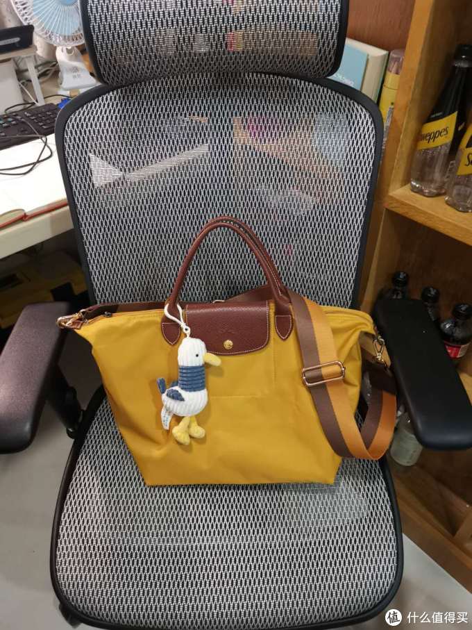 如何改造一只美美的斜挎LONGCHAMP